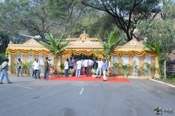 Bengal Tiger Movie Opening